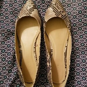 Express Snakeskin Flats